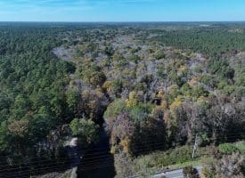 120+/- Acres of Timber Land For Sale in Hoke County, NC!
