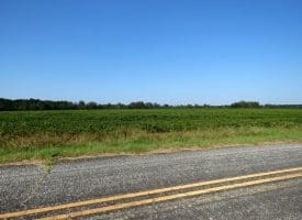 Tract 4 Cowpen 9+/- Acres of Residential and Farm Land For Sale in Robeson County, NC!