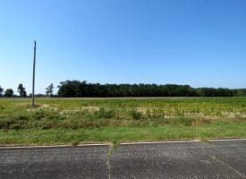 Tract 7 Cowpen 5+/- Acres of Residential and Farm Land for Sale in Robeson County, NC