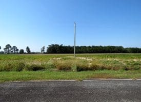 Tract 7 Cowpen 5+/- Acres of Residential and Farm Land for Sale in Robeson County, NC