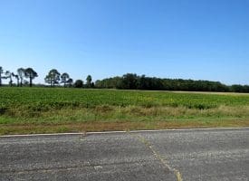 Tract 8 Cowpen 4.5+/- Acres of Residential and Farm Land For Sale in Robeson County, NC!