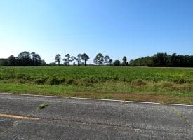 Tract 8 Cowpen 4.5+/- Acres of Residential and Farm Land For Sale in Robeson County, NC!
