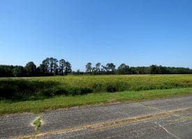 Tract 10 Cowpen 4+/- Acres of Residential and Farm Land For Sale in Robeson County, NC!