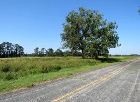 Tract 10 Cowpen 4+/- Acres of Residential and Farm Land For Sale in Robeson County, NC!