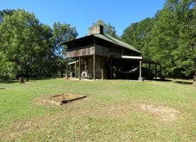 105+/- Acres of Hunting and Recreational Land For Sale in Bladen County, NC