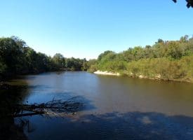 105+/- Acres of Hunting and Recreational Land For Sale in Bladen County, NC