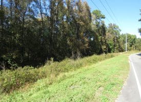 120+/- Acres of Timber Land For Sale in Hoke County, NC!