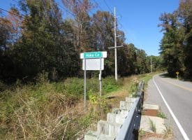 120+/- Acres of Timber Land For Sale in Hoke County, NC!