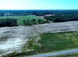 Tract 9 Cowpen 4+/- Acres of Residential and Farm Land for Sale in Robeson County, NC!