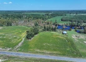 Tract 16 Cowpen 3.76+/- Acres of Residential and Farm Land For Sale in Robeson County, NC!
