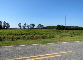 Tract 9 Cowpen 4+/- Acres of Residential and Farm Land for Sale in Robeson County, NC!