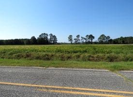 Tract 9 Cowpen 4+/- Acres of Residential and Farm Land for Sale in Robeson County, NC!