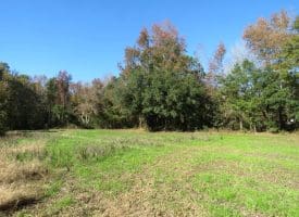 5.5+/- Acres of Residential and Farmland For Sale in Scotland County, NC!
