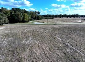 41+/- Acres of Residential and Hunting Land For Sale in Robeson County, NC!