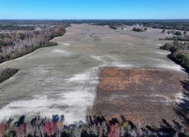 105+/- Acre Farm For Sale in Robeson County, NC!!