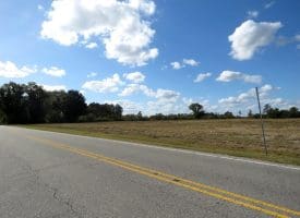 41+/- Acres of Residential and Hunting Land For Sale in Robeson County, NC!