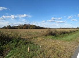 27+/- Acres of Farm Land For Sale in Lenoir County, NC!