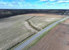 27+/- Acres of Farm Land For Sale in Lenoir County, NC!