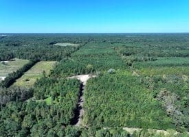 69+/- Acres of Hunting and Residential Land For Sale in Cumberland County, NC