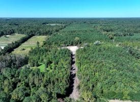 69+/- Acres of Hunting and Residential Land For Sale in Cumberland County, NC