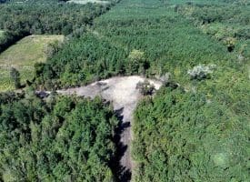 69+/- Acres of Hunting and Residential Land For Sale in Cumberland County, NC