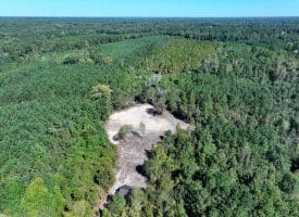 69+/- Acres of Hunting and Residential Land For Sale in Cumberland County, NC