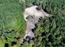 69+/- Acres of Hunting and Residential Land For Sale in Cumberland County, NC