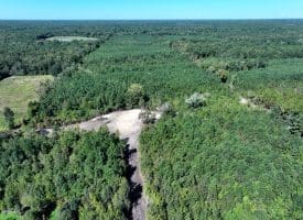 69+/- Acres of Hunting and Residential Land For Sale in Cumberland County, NC