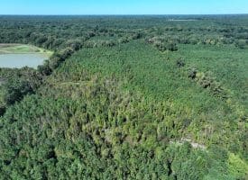 69+/- Acres of Hunting and Residential Land For Sale in Cumberland County, NC