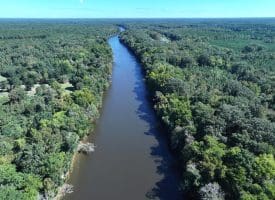 69+/- Acres of Hunting and Residential Land For Sale in Cumberland County, NC