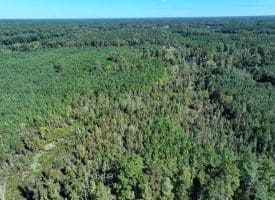 69+/- Acres of Hunting and Residential Land For Sale in Cumberland County, NC