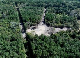 69+/- Acres of Hunting and Residential Land For Sale in Cumberland County, NC
