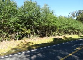 69+/- Acres of Hunting and Residential Land For Sale in Cumberland County, NC