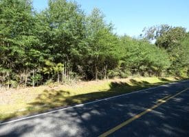 69+/- Acres of Hunting and Residential Land For Sale in Cumberland County, NC