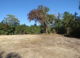 69+/- Acres of Hunting and Residential Land For Sale in Cumberland County, NC