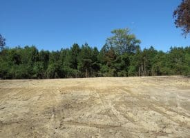 69+/- Acres of Hunting and Residential Land For Sale in Cumberland County, NC