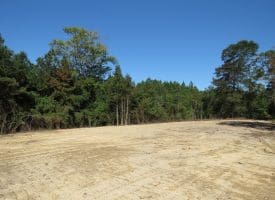 69+/- Acres of Hunting and Residential Land For Sale in Cumberland County, NC
