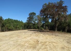69+/- Acres of Hunting and Residential Land For Sale in Cumberland County, NC