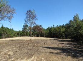 69+/- Acres of Hunting and Residential Land For Sale in Cumberland County, NC
