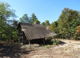 69+/- Acres of Hunting and Residential Land For Sale in Cumberland County, NC