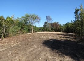 69+/- Acres of Hunting and Residential Land For Sale in Cumberland County, NC