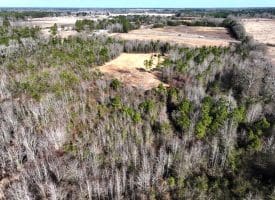 23+/- Acres of Hunting and Residential Land For Sale in Robeson County, NC!