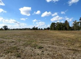 13.5 +/- Acres of Farm and Residential Land For Sale in Robeson County, NC