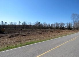 40+/- Acres of Timber and Hunting Land For Sale in Robeson County, NC!