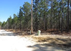 6+/- Acres of Residential Land For Sale in Scotland County, NC!
