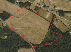 75+/- Acres of Farm Land For Sale in Bladen County, NC!