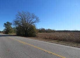 75+/- Acres of Farm Land For Sale in Bladen County, NC!