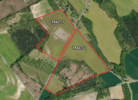 39+/- Acres of Farm and Timber Land For Sale in Scotland County, NC!