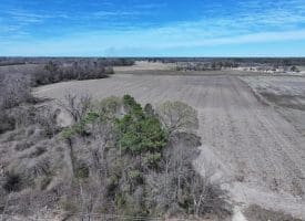 27+/- Acres of Farm and Development Land For Sale in Robeson County, NC!