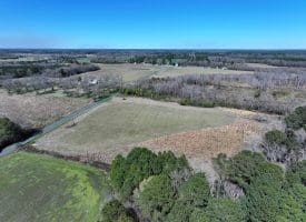 39+/- Acres of Farm and Timber Land For Sale in Scotland County, NC!